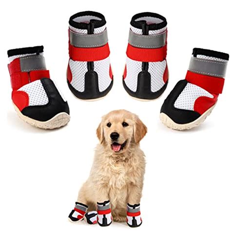 Hundeschuhe Nike – Die 15 besten Produkte im Vergleich.